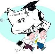 游学市场混乱 团组织击中家长学生“痛点”