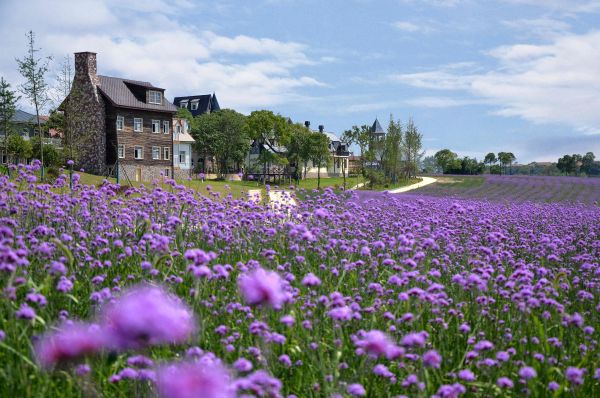 武汉4个村成了全国乡村旅游重点村
