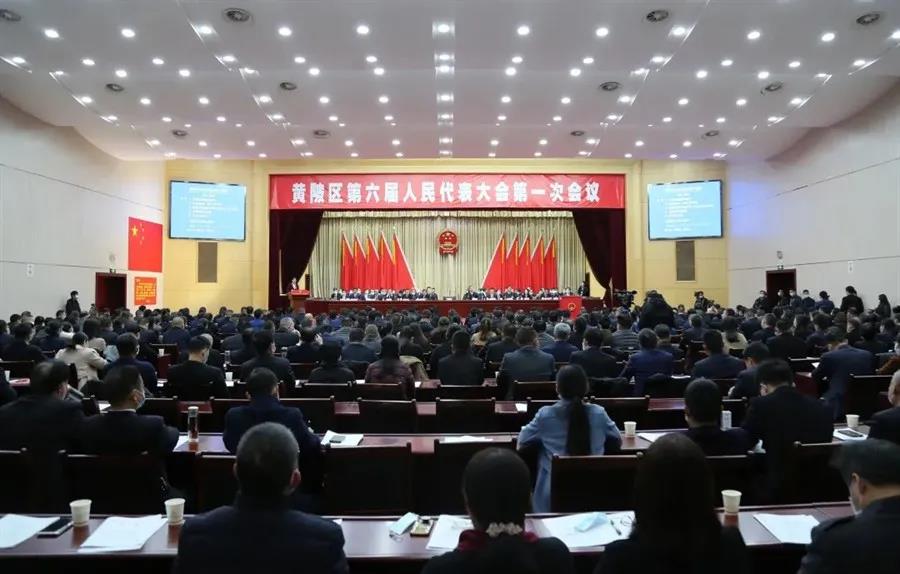 黄陂区人大代表、政协委员展望空港发展