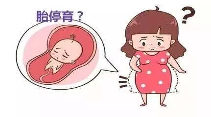 胚胎停止发育是准妈妈们最害怕的事