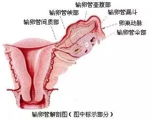 点击查看高清原图